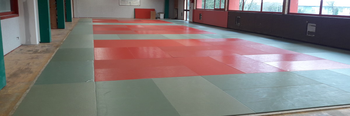 Salle avec tapis de sol rouge et vert, murs blancs, fenêtres et portes vertes.