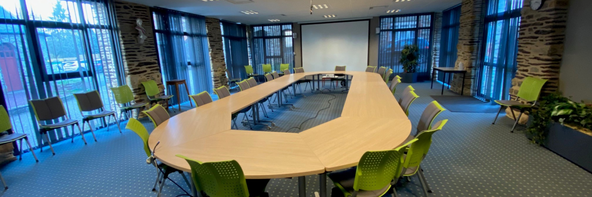 Salle de réunion avec table, chaises, plantes et tableaux.