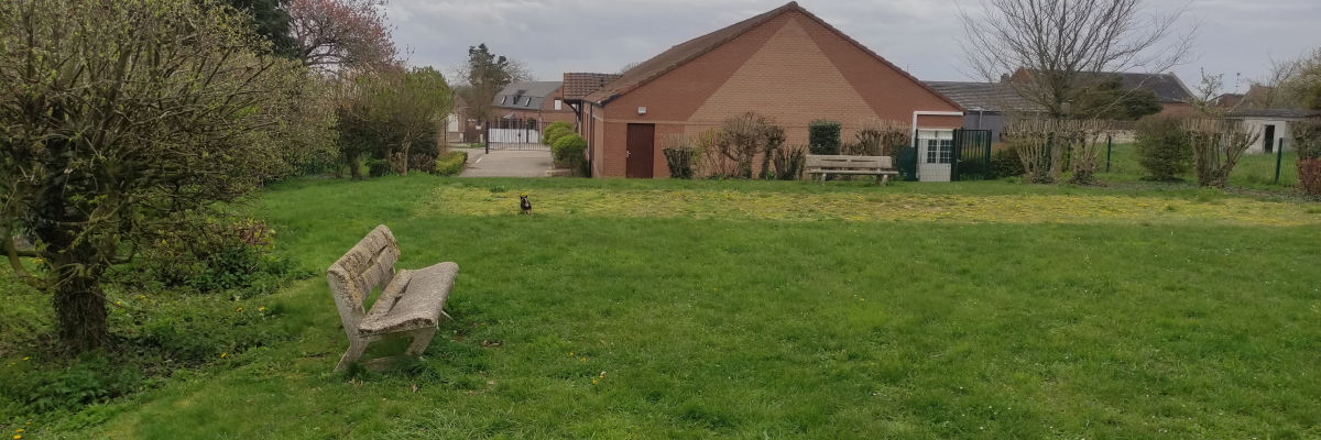 Bâtiment avec bancs, pelouse et arbres.