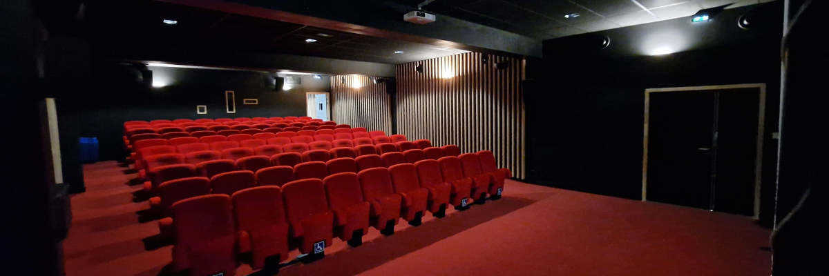 Salle de cinéma avec rangées de sièges rouges, écran et projecteur.