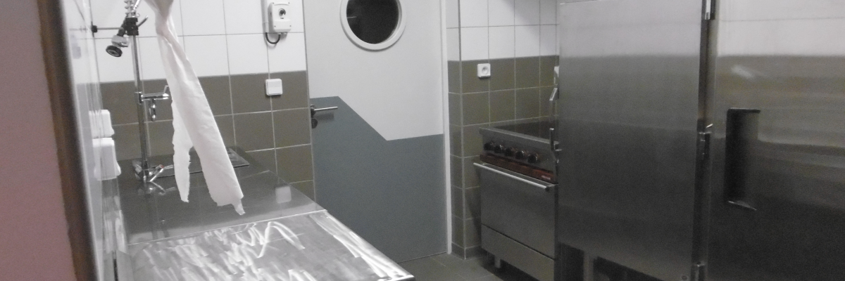 Cuisine industrielle avec plan de travail, évier, four, hotte, lave-vaisselle et étagère.