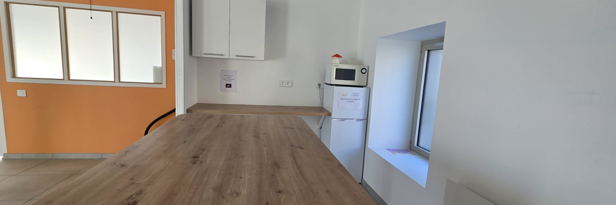 Cuisine avec plan de travail, armoires, micro-ondes, frigo, fenêtre et éclairage au plafond.