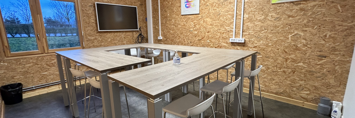 Salle avec table, chaises, téléviseur, affiches, fenêtres et lampes.