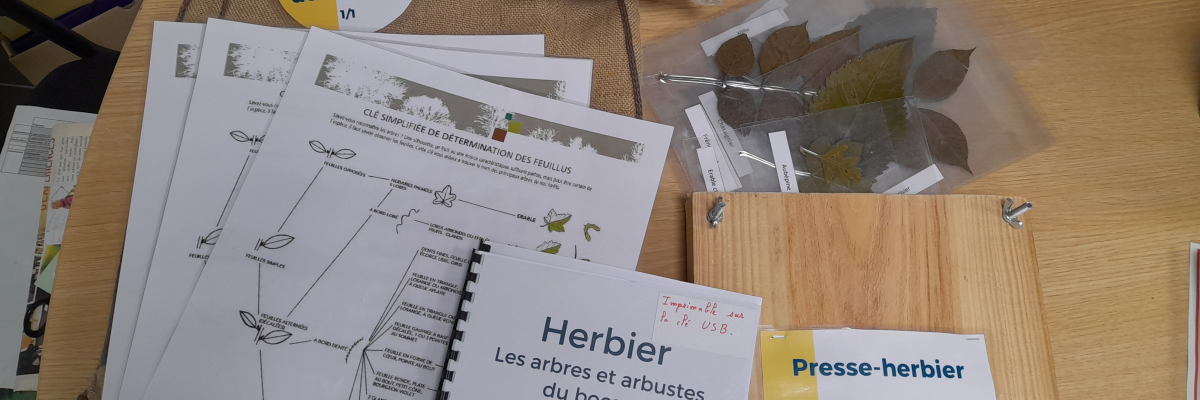 Bureau avec livre, feuilles, échantillons de feuilles, sac en toile et badge.