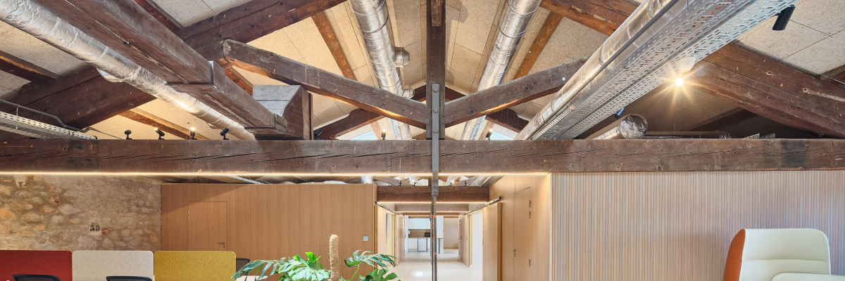 Espace de travail. Poutrelles métalliques en haut. Chaises et tables de bureau. Fauteuils et table basse. Plantes en pot.