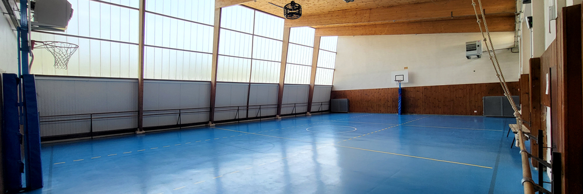 Salle de sport avec paniers de basket, murs en bois, parquet bleu et grandes fenêtres.