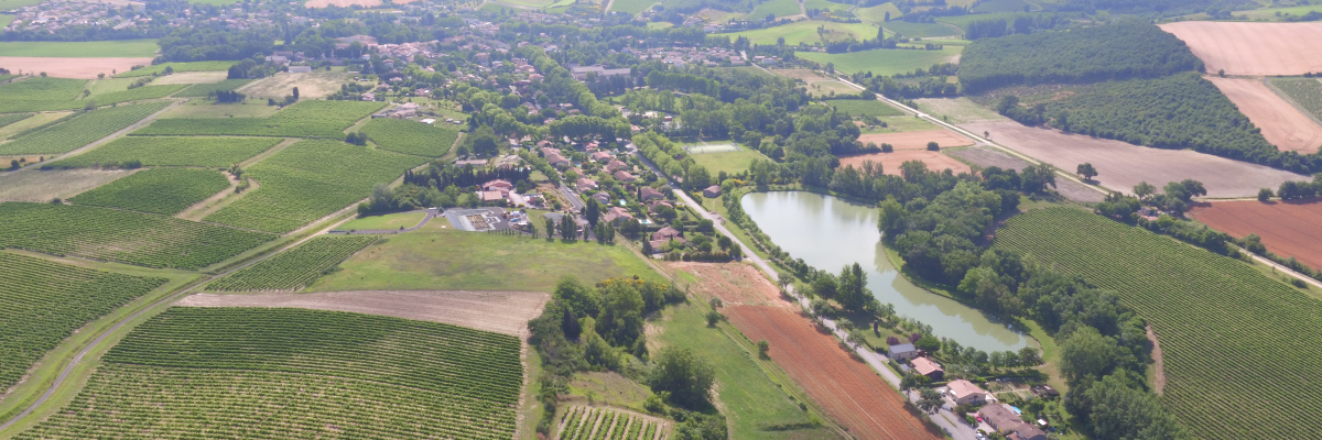 Paysage de campagne avec vignobles, champs, village, lac et forêt.