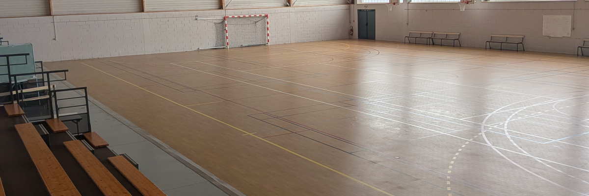 Gymnase avec parquet, gradins, panier de basket et fenêtres.