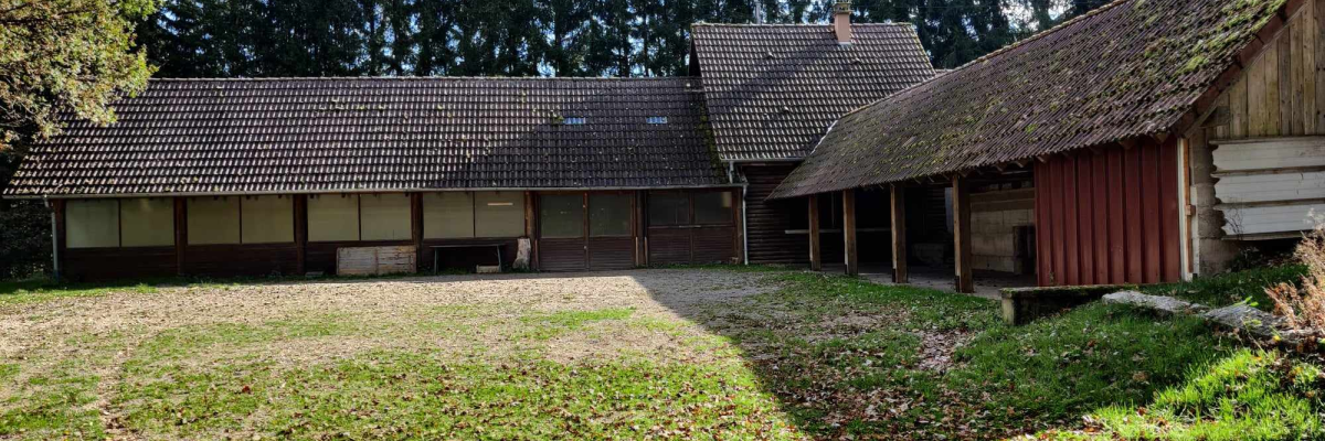 Fermes en bois avec toits en tuiles, portes et fenêtres ouvertes, entourées d'arbres.