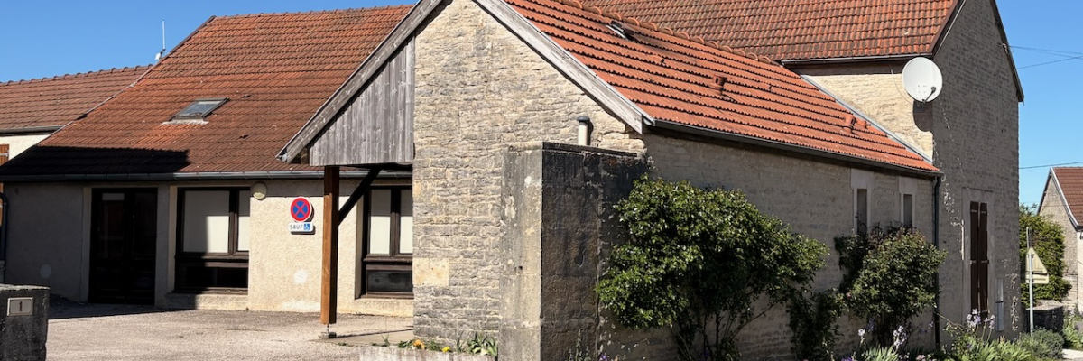 Maison en pierre avec toit rouge, antenne parabolique, porte de garage, plantes et allée.