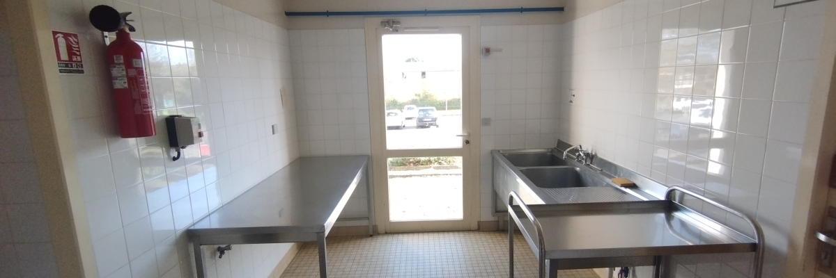 Laboratoire avec paillasses, éviers, chariot, extincteur, porte et lumière.