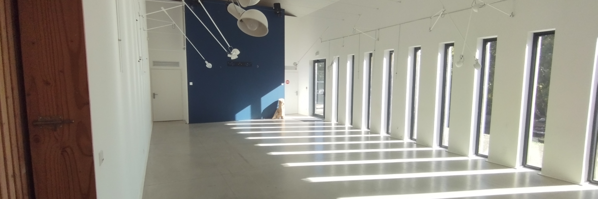 Salle vide avec portes, fenêtres, plafond suspendu et éclairage.