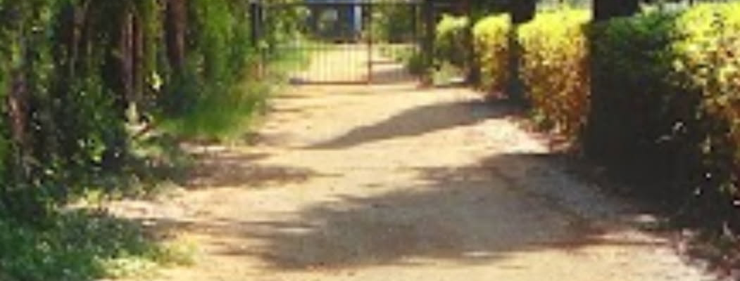 Allée gravillonnée bordée d'arbres et de haies avec banc au loin.