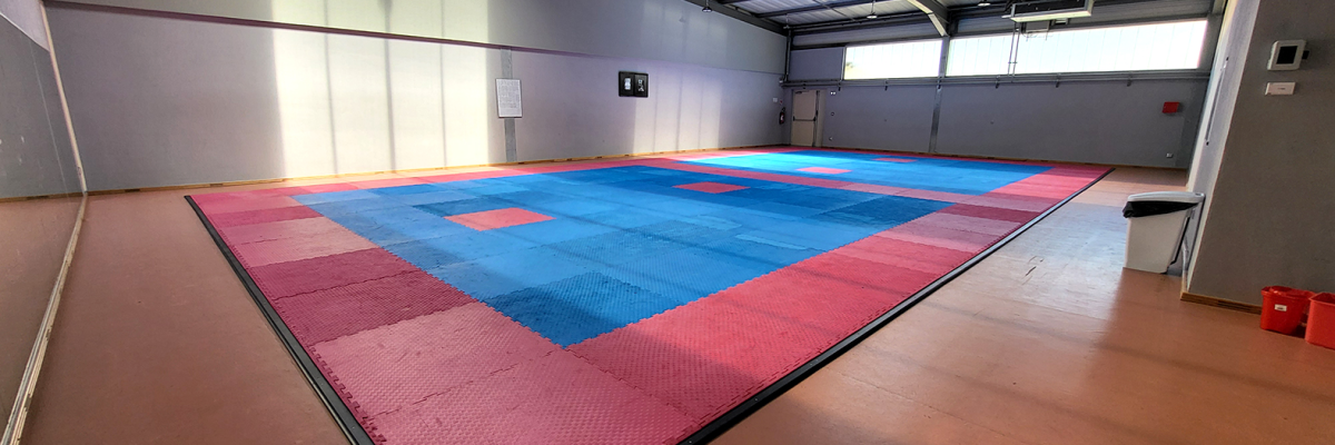 Salle avec sol en bois et tapis carré bleu et rouge.