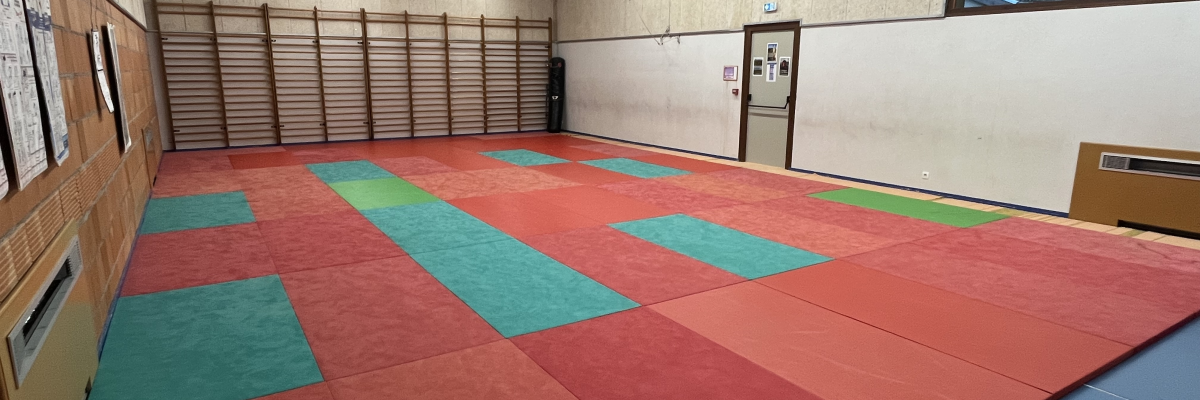 Salle avec tapis de sol multicolores, rack à barres, panneau de basket et éclairage suspendu.