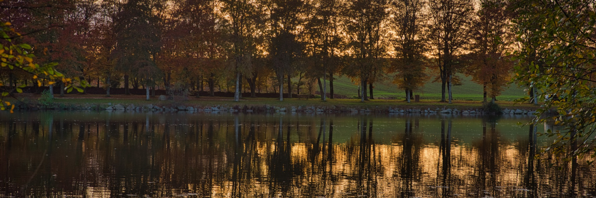 Lac reflétant arbres et ciel au coucher du soleil.