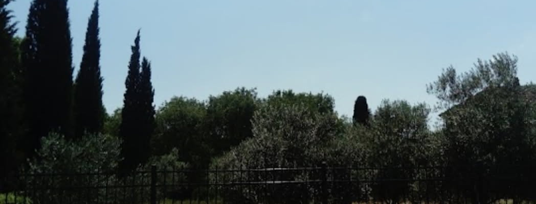 Une clôture en métal avec un portail, des arbres et des arbustes à l'intérieur, un ciel dégagé.