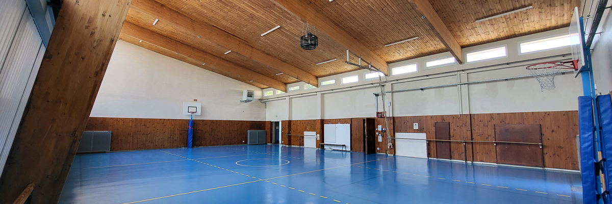 Salle de sport avec panier de basket, murs en bois, sol bleu.