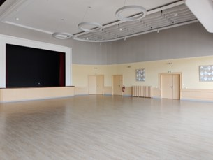 Salle avec grand écran, plancher en bois clair, radiateur et portes.