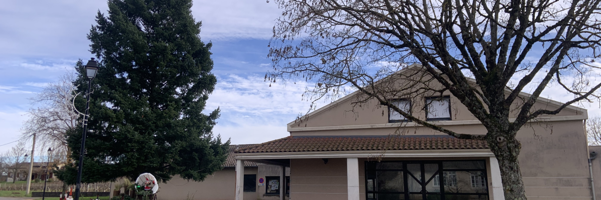 Bâtiment avec toiture en tuiles, devanture vitrée, arbre nu et conifère, trottoir et route.
