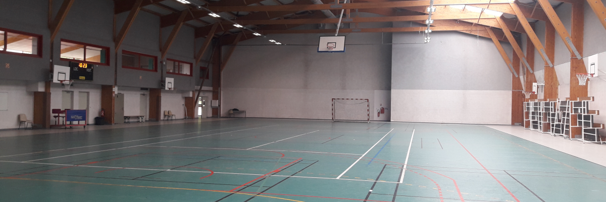 Gymnase avec paniers de basket, filet de volley-ball, gradins et éclairage.