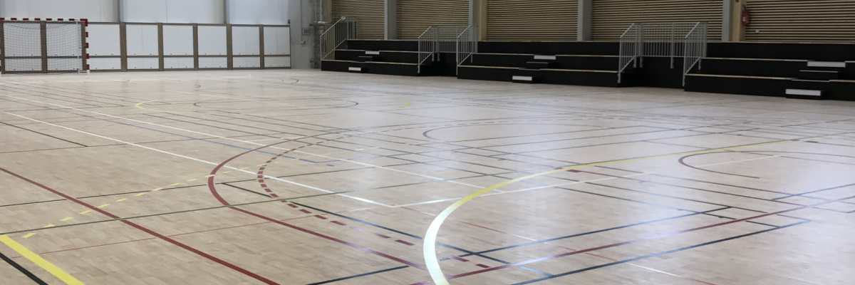 Gymnase avec parquet, lignes de terrain et gradins.