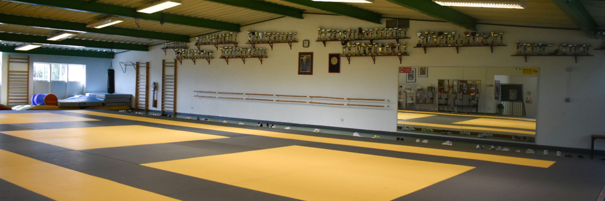 Salle de sport avec tapis de sol, miroirs, barres et équipements suspendus.