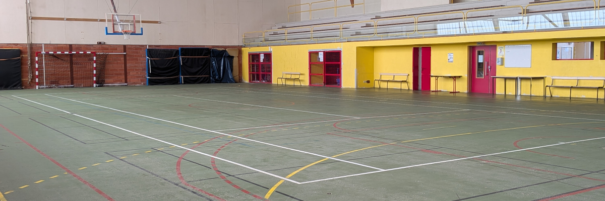 Salle de sport avec panier de basket, lignes de terrain et gradins.