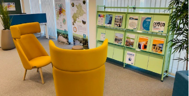 Espace avec chaises jaunes, table basse, étagères et livres.