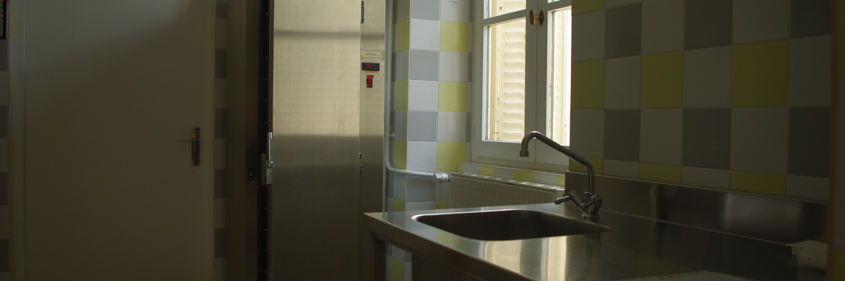 Laboratoire avec évier, réfrigérateur, plan de travail et fenêtre.