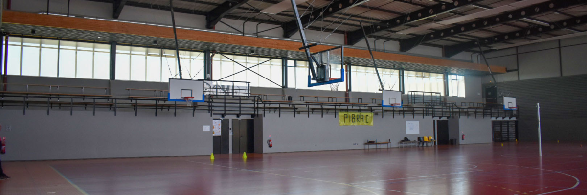 Gymnase avec panier de basket, panneaux de score, et lignes de terrain.