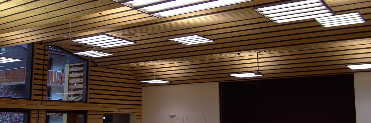 Salle vide avec plafonnier, porte, fenêtres et écran.