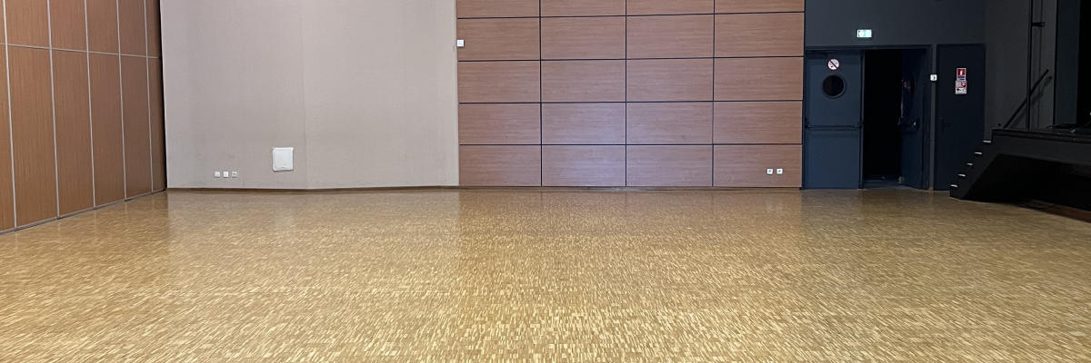 Salle avec sol en bois, murs en bois et noir, éclairage intégré et porte.