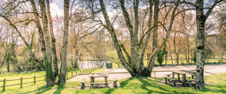 Un parc avec des arbres, une pelouse, des tables de pique-nique, un chemin et un étang.