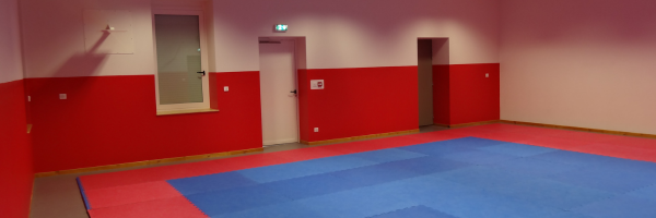 Salle avec tapis de sol, murs rouges et blancs, portes.