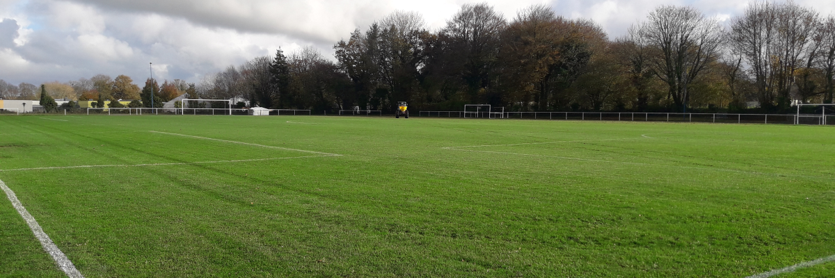 Terrain de football avec but, pelouse et ciel nuageux.
