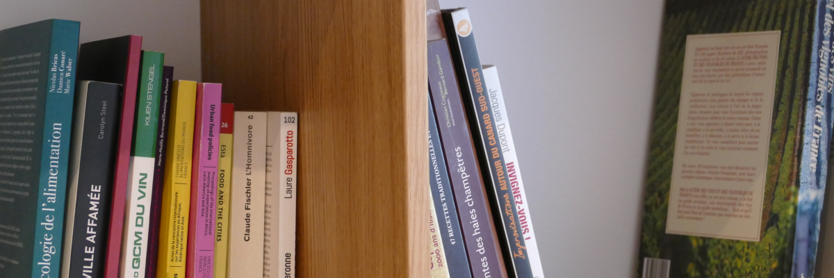 Étagère à livres en bois avec plusieurs ouvrages.