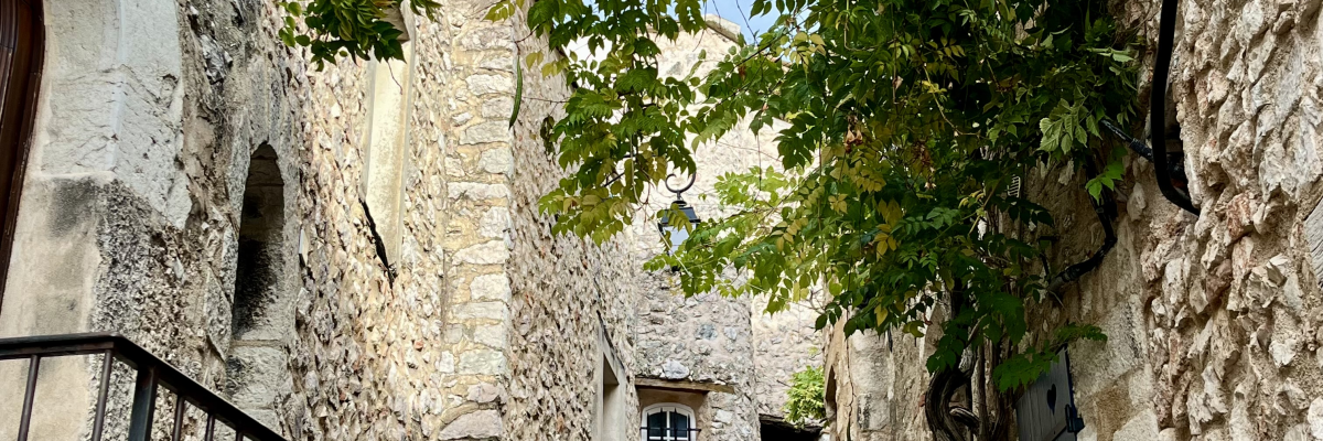 Ruelle pavée avec escaliers, murs en pierre, rambarde en métal et végétation.