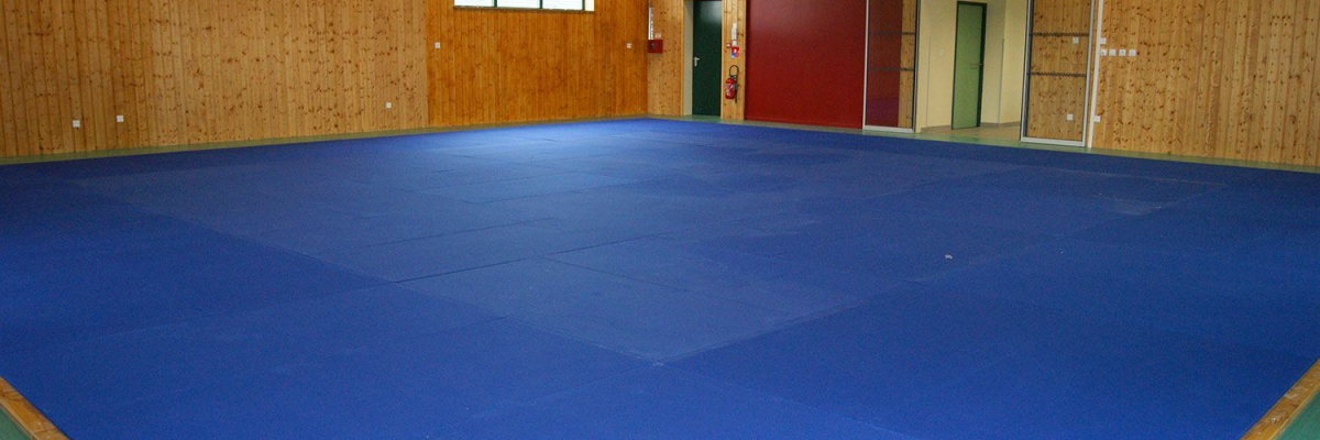 Salle avec sol bleu, murs en bois, portes et fenêtres.