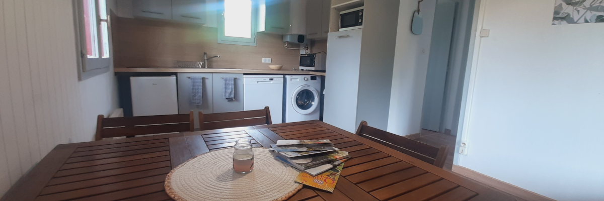 Cuisine et salle à manger avec table, chaises, micro-ondes, lave-linge, placards, et assiette sur la table.
