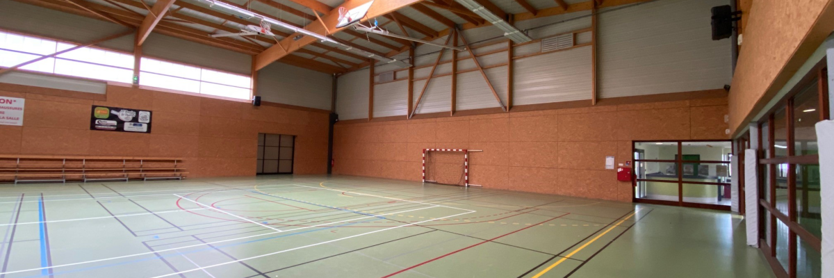 Salle de sport avec paniers, filet, bancs, et sol vert.