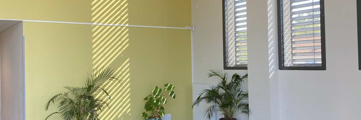 Pièce avec plantes, pots, grandes fenêtres et sol en béton.