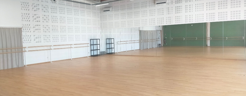 Salle de danse avec barres, miroirs et parquet.