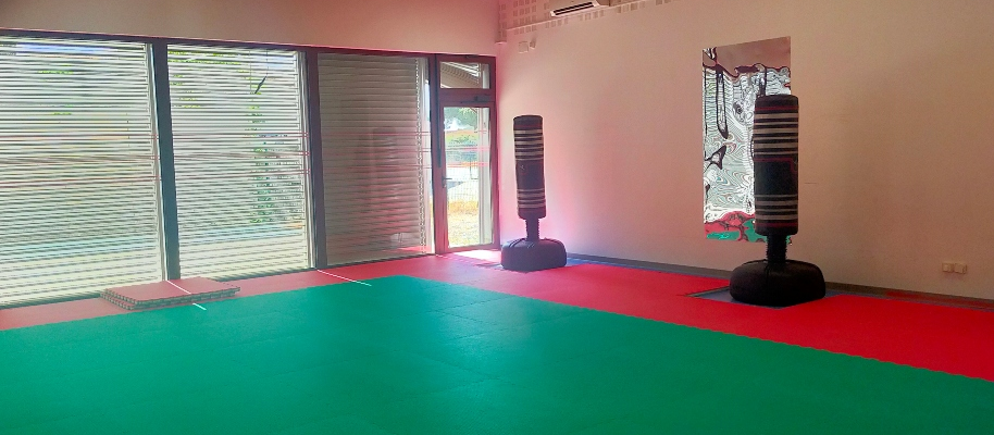 Salle avec tapis vert, deux poire de boxe et fenêtres fermées.