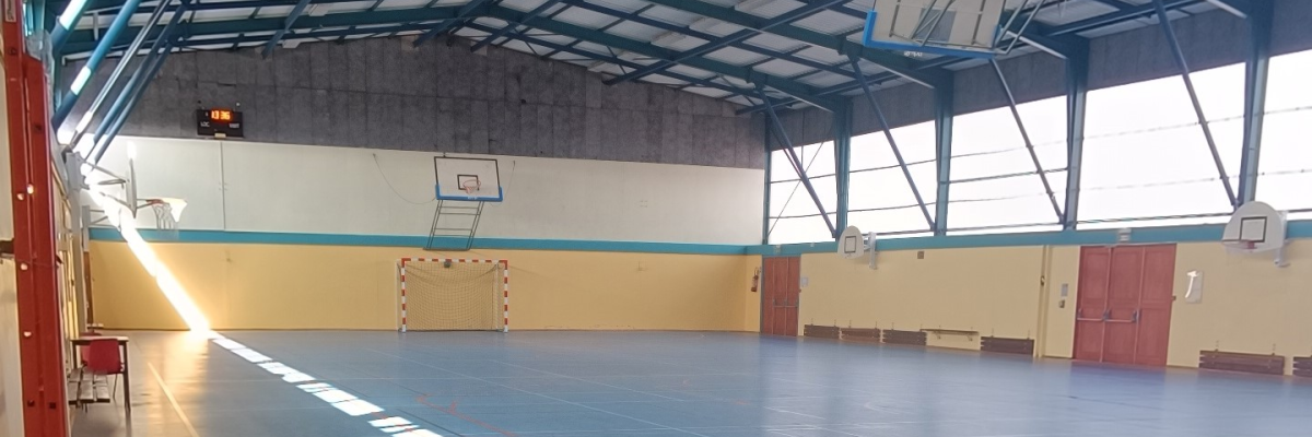 Salle de sport avec panier de basket, but de handball, lignes de sol, tribunes, et éclairage.