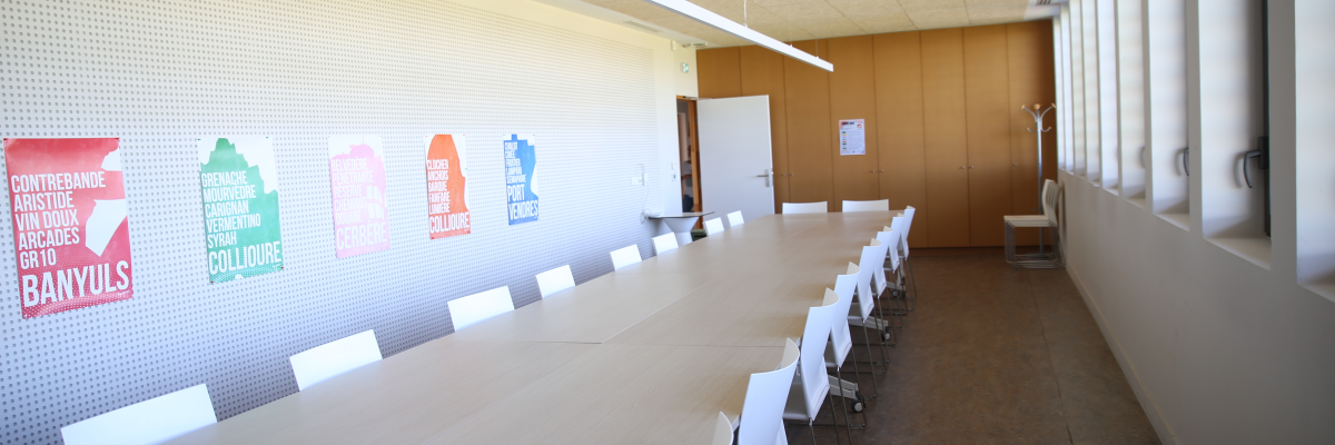 Salle de réunion avec table, chaises, affiches murales et lumières.