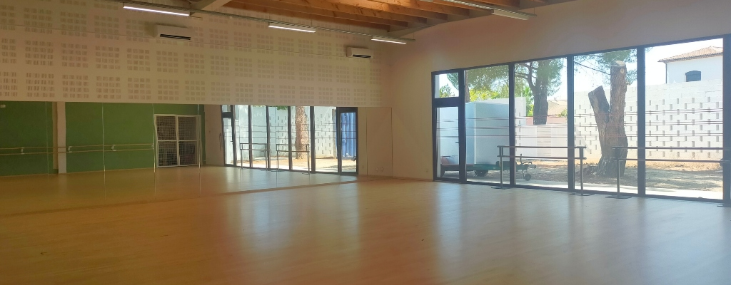 Salle de danse avec parquet, barres, grandes fenêtres et murs en brique.