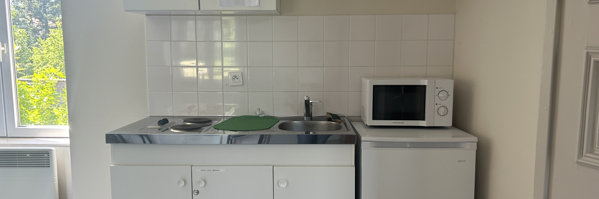 Cuisine avec évier, plaques de cuisson, micro-ondes, réfrigérateur, placards et fenêtre.
