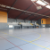 Salle de sport avec parquet, lignes de terrain, gradins et fenêtres.