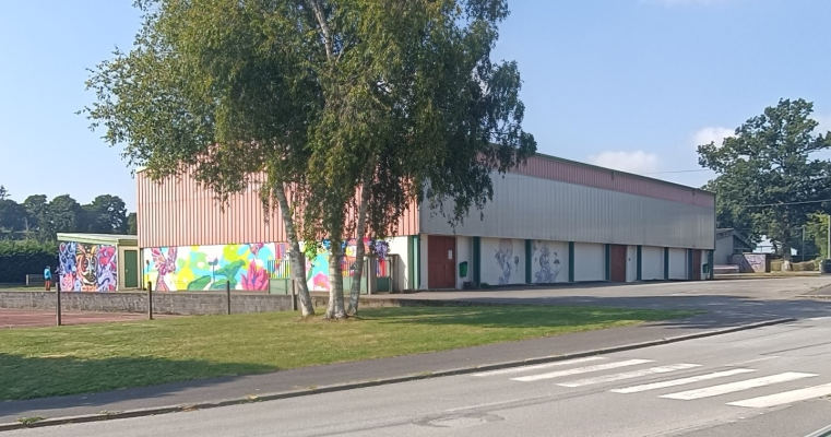 Bâtiment avec graffitis, portes de garage, arbre et pelouse.